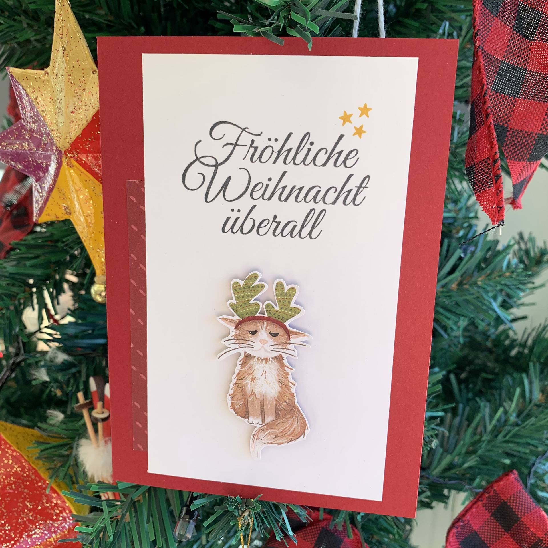 WiS - Karte Katze 2.jpeg